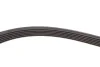 Комплект доріжкових пасків SKF VKMA36055 (фото 4)