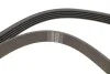 Комплект доріжкових пасків SKF VKMA36200 (фото 3)