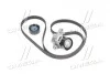 Комплект доріжкових пасків SKF VKMA36209 (фото 1)