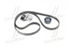 Комплект доріжкових пасків SKF VKMA36209 (фото 3)