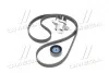 Комплект доріжкових пасків SKF VKMA36209 (фото 4)