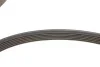Комплект поліклиновий (ремінь+ролики) SKF VKMA64119 (фото 3)