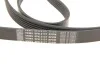 Комплект поліклиновий (ремінь+ролики) SKF VKMA64119 (фото 4)