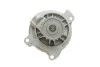 Водяний насос насос + комплект зубчастого ременя SKF VKMC 01270 (фото 13)