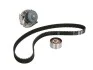 Комплект ГРМ, ремень + ролик + помпа SKF VKMC02206