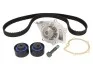 Ремкомплект ГРМ + помпа CITROEN C8"03-06" VKMC03264