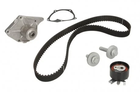 Ремкомплект ГРМ + насос DACIA / NISSAN / RENAULT Logan / Sandero / Almera / Quashqai / Kangoo 1,5dCi 01 - SKF VKMC061342