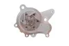 Комплект ГРМ, пас+ролик+помпа SKF VKMC 95660-3 (фото 7)