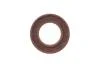 К-кт ГРМ SKF VKML 83503 (фото 9)
