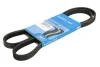Дорожечный пас SKF VKMV4PK1300 (фото 1)