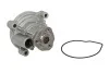 Водяний насос помпа VAG A3 / Ibiza / Fabia / Octavia / Golf / Passat 1,6L 03 - SKF VKPC81501 (фото 2)
