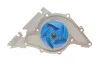Водяний насос помпа AUDI / SKODA / VW 80 / A4 / A6 / A8 / Superb / Passat 2,4 / 2,8L 91-08 SKF VKPC81802 (фото 4)