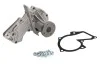 Водяний насос помпа FORD / VOLVO C-Max / Fiesta / Focus / Kuga / S40 / S80 1,25 / 1,6L 01 - SKF VKPC84217 (фото 2)