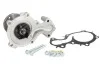 Водяной насос FORD FIESTA VII 1.1 2017 - (Пр-во) SKF VKPC 84219 (фото 1)