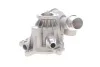Водяной насос помпа BMW 5/6/7 / X5 3,0 / 4,8L 05 - SKF VKPC88305 (фото 4)