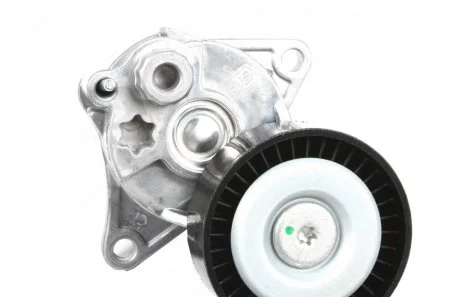 Натяжитель ремня Solgy 110010