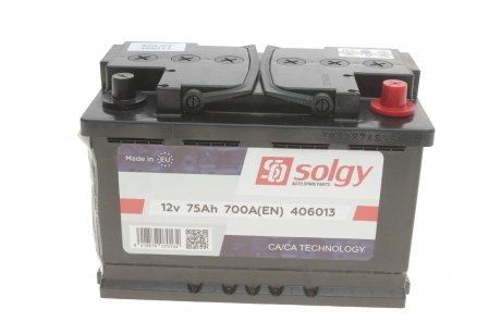 Акумуляторна батарея Solgy 406013 (фото 1)