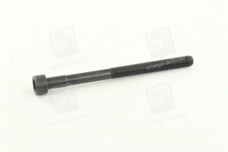Болт головки блоку SSANGYONG 6659901012 (фото 1)