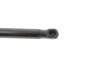 Пружина газова BMW X6 xDrive 35i 01/08-07/14 STABILUS 875221 (фото 4)
