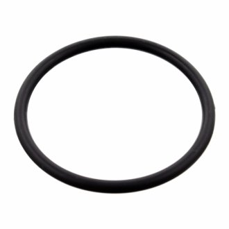 Уплотнительное кольцо SWAG 10 10 0077 (фото 1)