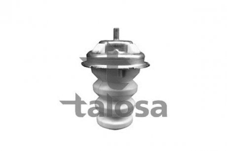 Вiдбiйник зад. ресори Fiat Doblo 05- Діаметр чашки 100 мм висота 162мм TALOSA 63-05489