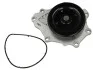 Помпа системи охолодження THERMOTEC D12089TT (фото 1)