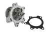 Насос охолоджуючої рідини, з ущільненням MINI (R50, R53) TOYOTA AURIS, COROLLA, YARIS 1.3/1.4D 09.02-12.18 THERMOTEC D12093TT (фото 2)