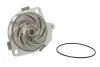 Помпа системы охлаждения THERMOTEC D1F035TT (фото 1)