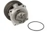 Помпа системы охлаждения D1F070TT