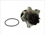 Помпа системи охолодження THERMOTEC D1G033TT (фото 2)