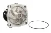 Помпа системи охолодження THERMOTEC D1G042TT (фото 1)