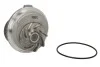 Помпа системи охолодження THERMOTEC D1X021TT (фото 1)