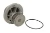 Помпа системи охолодження THERMOTEC D1X041TT (фото 2)