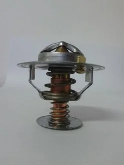 Термостат THERMOTEC D2CA002TT