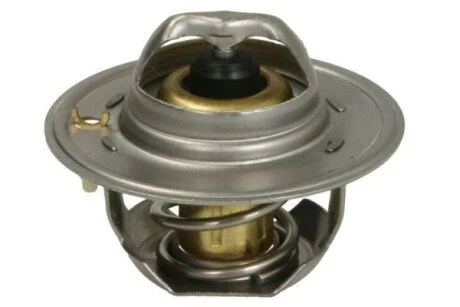 Термостат THERMOTEC D2FO002TT