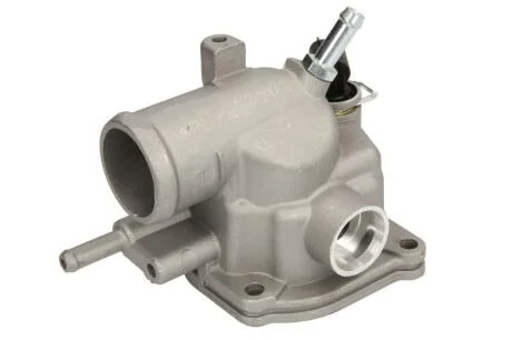 Термостат THERMOTEC D2M009TT