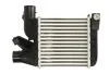Інтеркулер BMW 5 (E39), 7 (E38) 2.5D 01.96-05.04 THERMOTEC DAB021TT (фото 1)