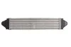 Інтеркулер THERMOTEC DAI002TT (фото 2)