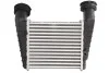 Интеркулер THERMOTEC DAW004TT (фото 2)