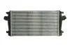 Интеркулер THERMOTEC DAX013TT (фото 1)