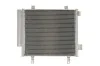 Радиатор кондиционера THERMOTEC KTT110300 (фото 1)