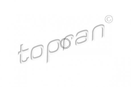 Кольцо уплотнительное форсунки TOPRAN / HANS PRIES 100678 (фото 1)