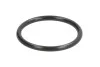 Елемент форсунки Common Rail 114579