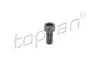 Винт с цилиндрической головкой М10 * 1 * 22.30 TOPRAN / HANS PRIES 117243 (фото 1)
