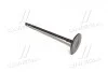 Клапан впускний Land Cruiser 12- Tundra Hilux TOYOTA 1371131071 (фото 3)