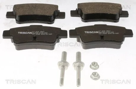 Колодки гальмівні задні TRISCAN 811010567