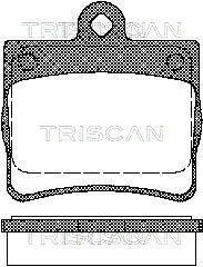 Колодки гальмівні задні TRISCAN 811023016