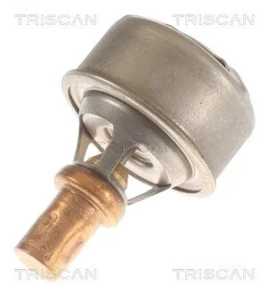 Термостат Renault 1.1 / 1.2 / 1.4 1397 C1J 07/88> 11/95 TRISCAN 862013091