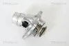 Термостат із програм, Bmw E39 / E38 / X5 3.5 / 4.4 L TRISCAN 8620213105 (фото 1)