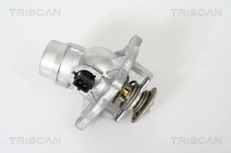 Термостат із програм, Bmw E39 / E38 / X5 3.5 / 4.4 L TRISCAN 8620213105